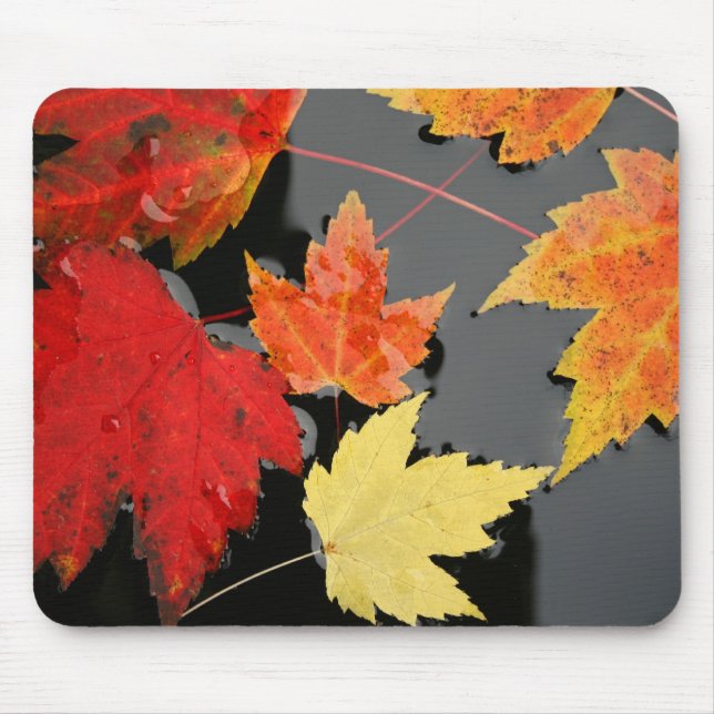 Tapis De Souris Automne Maple Feuille couleur Rouge Mousepad (Devant)