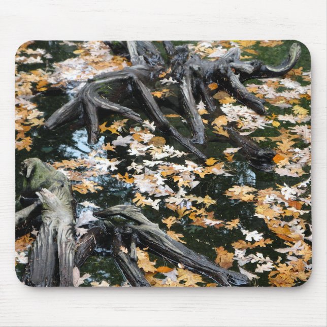 Tapis De Souris Automne Otter Pond Feuille (Devant)