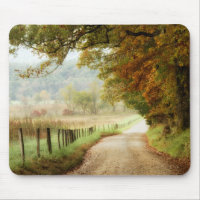 Automne sur une route de campagne
