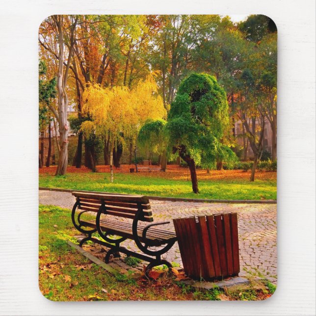 Tapis De Souris Automne urbain   (HDR) (Devant)