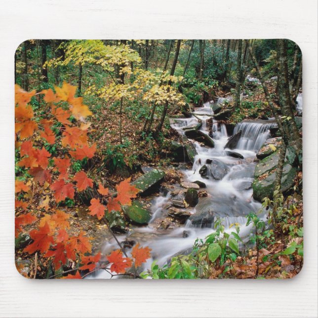 Tapis De Souris Automnes première génération de montagne (Devant)