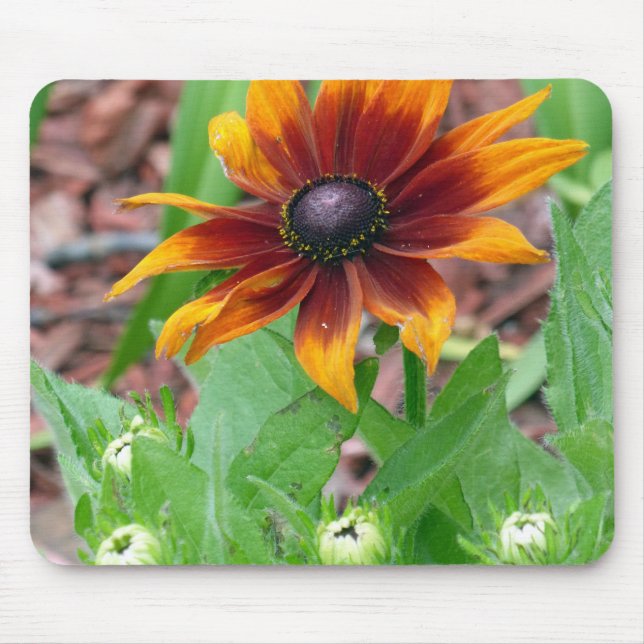 Tapis De Souris Autumn Colors (Devant)