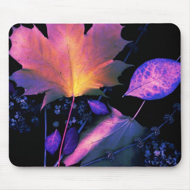 Tapis De Souris Autumn Leaves (Devant)