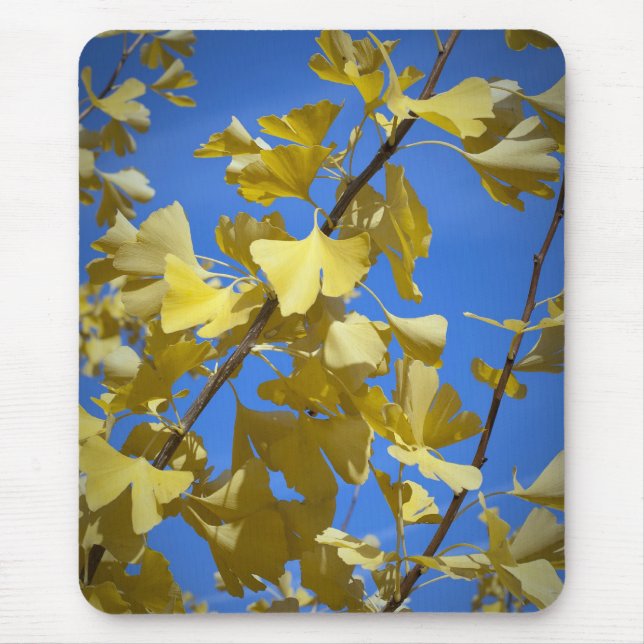 Tapis de souris Autumn Leaves (Devant)