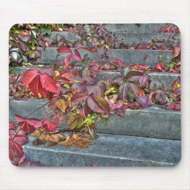 Tapis De Souris Autumn leaves mousepad (Devant)