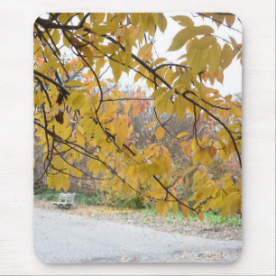 Tapis De Souris Autumn Leaves Riverside Park New York City NYC