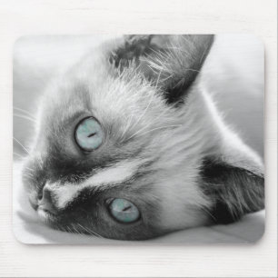 Tapis de souris aux yeux bleus de chaton