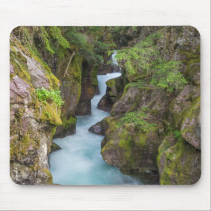 Tapis De Souris Avalanche Creek, parc national de Glacier, Montana