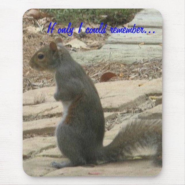 Tapis De Souris Avant jésus christ-Écureuil Mousepad (Devant)