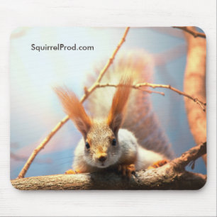 Tapis de souris avec l'écureuil