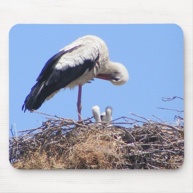 Tapis de souris avec oiseaux (Devant)