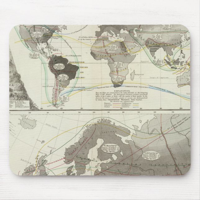 Tapis De Souris Aves, Oiseaux (Devant)