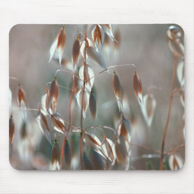Tapis De Souris Avoine Mûre (Avena Sativa) Gros Plan. Ceres, Bolan (Devant)