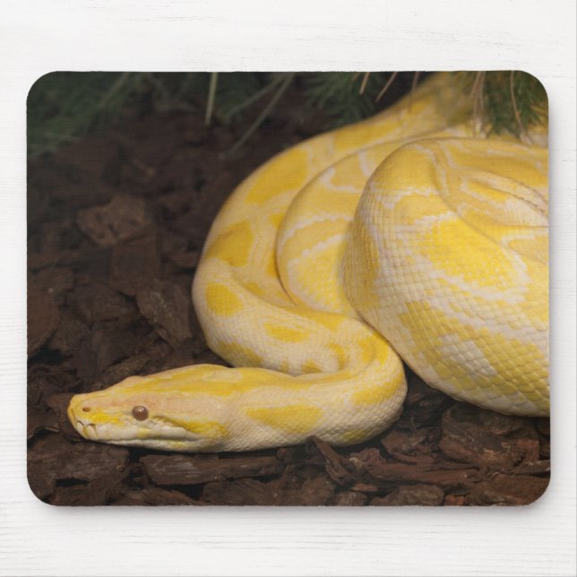 Tapis De Souris Awesome Yellow Burmese Python (Devant)
