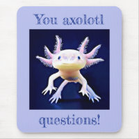 Axolotl Salamander Amphibian