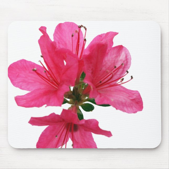 Tapis De Souris Azalea (Devant)
