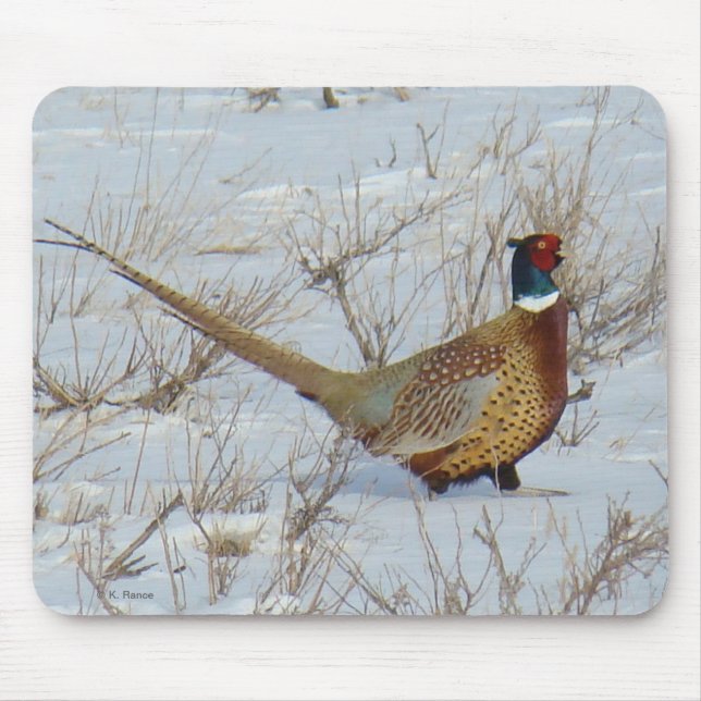 Tapis De Souris B22 Faisan de Colchide dans la Neige (Devant)