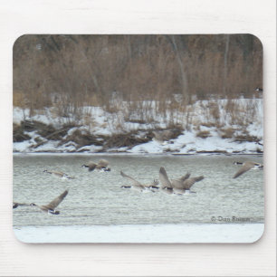 Tapis De Souris B7 Bernaches du Canada en vol