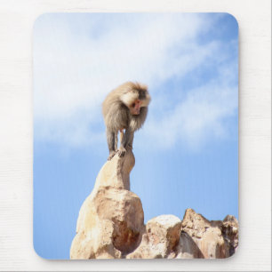 Tapis De Souris Babouin majestueux sur un sommet de montagne