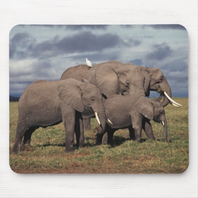 Tapis De Souris Baby African Elephant avec famille (Devant)