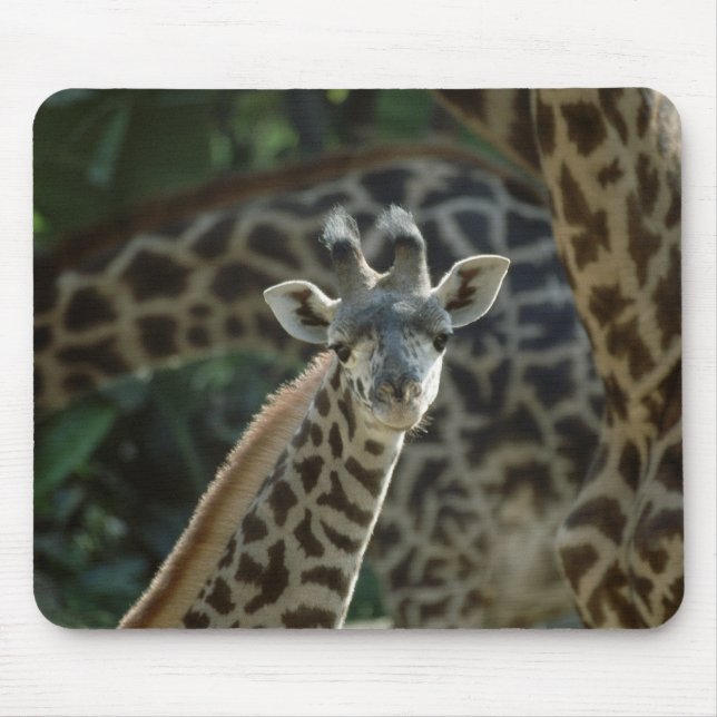 Tapis De Souris Baby Giraffe (Devant)