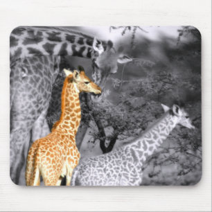 Tapis De Souris Baby Giraffe