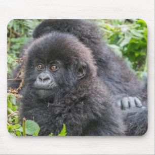 Tapis De Souris Baby Mountain Gorilla