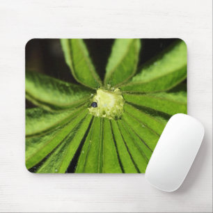 Tapis De Souris Baby Palm Plante par Shirley Taylor