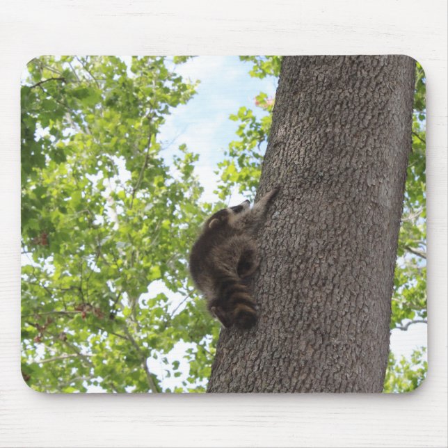Tapis De Souris Baby Raccoon (Devant)
