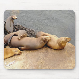 Tapis De Souris Baby Sea Lions