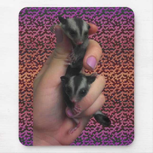 Tapis De Souris Baby Sugar Glider Mousepad (Devant)