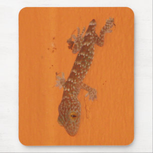 Tapis De Souris Baby Tokay Gecko