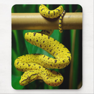 Tapis De Souris Baby Yellow Phase Green Tree Python Snake