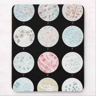 Tapis De Souris Bactéries