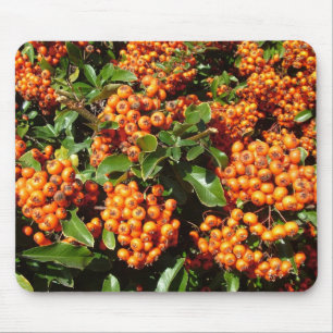 Tapis De Souris Baies de houx orange