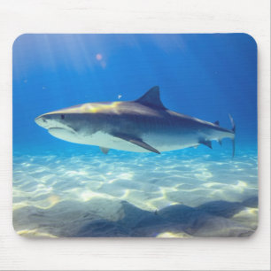 Tapis De Souris Baignade de requins Eau bleu de l'océan
