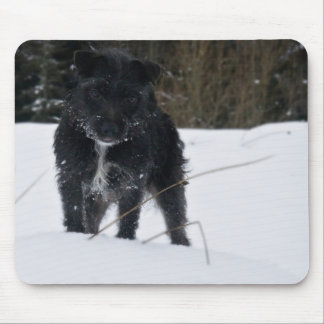 Tapis De Souris Bailey le Patterdale Terrier