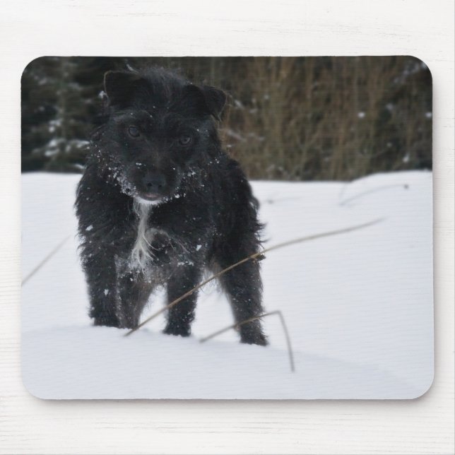 Tapis De Souris Bailey le Patterdale Terrier (Devant)