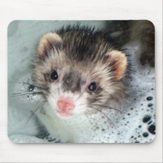 Tapis De Souris bain moussant de furet