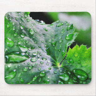 Tapis De Souris Baisses de gouttelettes d'eau de rosée