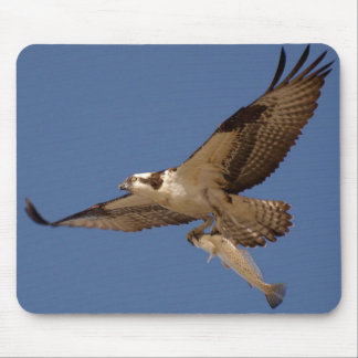 Tapis De Souris Balbuzard Fisher