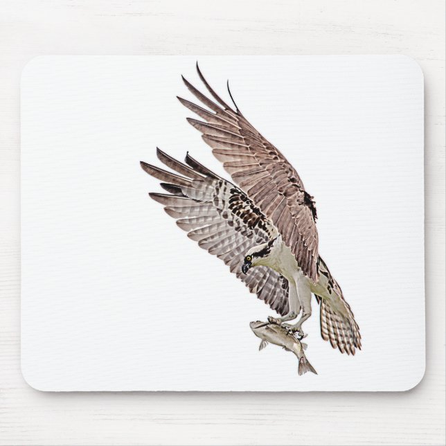 Tapis De Souris Balbuzard pêcheur avec poisson (Devant)