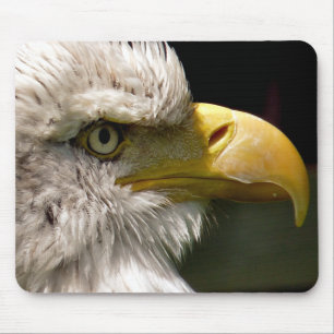 TAPIS DE SOURIS BALD EAGLE