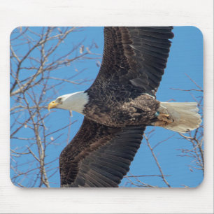 Tapis De Souris Bald Eagle en vol