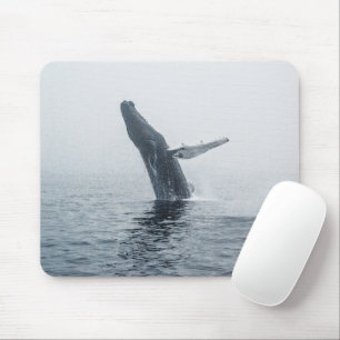 Tapis De Souris Baleine à bosse