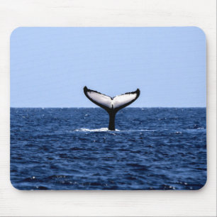 Tapis De Souris Baleine à bosse en océan