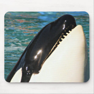 Tapis De Souris Baleine faisant surface vue sur l'océan