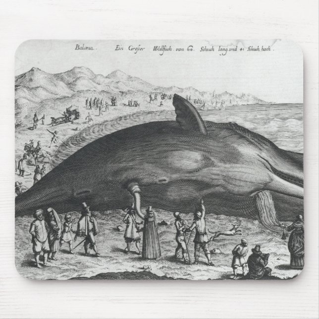 Tapis De Souris Baleine morte (Devant)