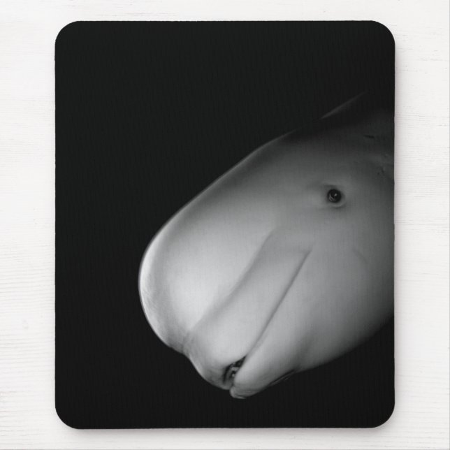 Tapis De Souris Baleine Mousepad de beluga (Devant)