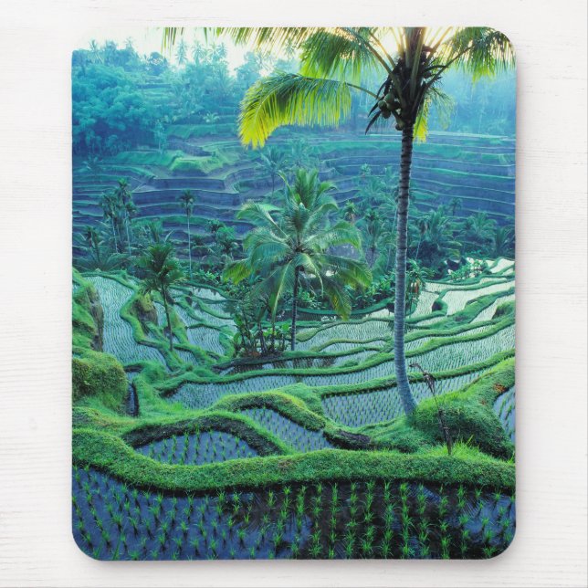 Tapis De Souris Bali | Vue d'ensemble des rizières (Devant)